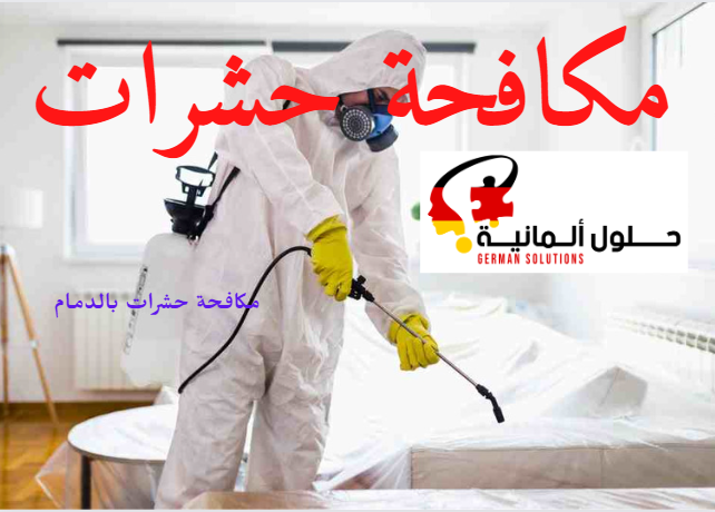 شركة مكافحة الحشرات بالدمام بأساليب حديثة  title=